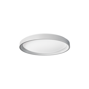 LED Ceiling Light T1M